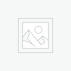 Buy Google Voice Accounts